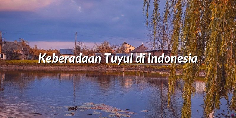 Keberadaan Tuyul di Indonesia