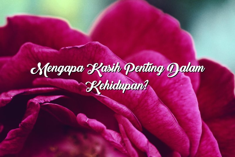 Mengapa Kasih Penting dalam Kehidupan?