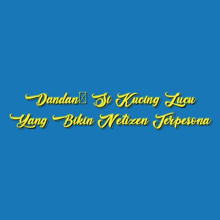 Dandan: Si Kucing Lucu yang Bikin Netizen Terpesona