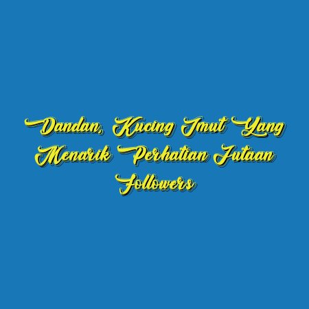 Dandan, Kucing Imut yang Menarik Perhatian Jutaan Followers