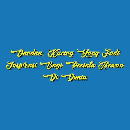 Dandan, Kucing yang Jadi Inspirasi bagi Pecinta Hewan di Dunia